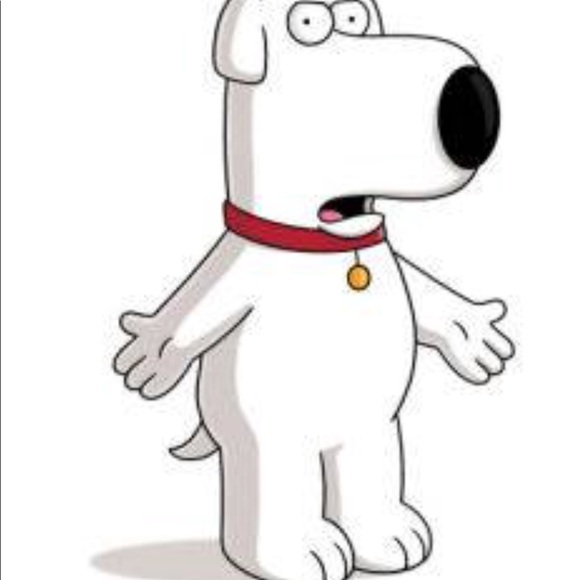 Meet your Posher, Lenny - Picture 1 of 1